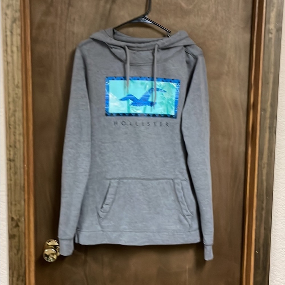 Hollister Pullover Hoodie Sweatshirt Medium